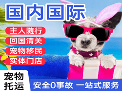 广州白云空运代理国际宠物托运 【国